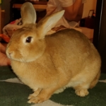 Thumbnail of post image 128